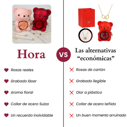 Oso Eterno Milona y Collar Personalizado